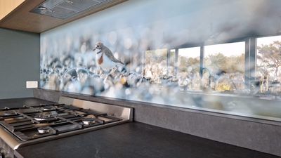 Printed glass splashback with a shorebird and pebbles design